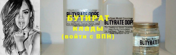 прущие грибы Новозыбков