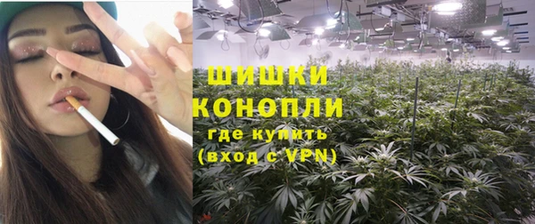прущие грибы Новозыбков