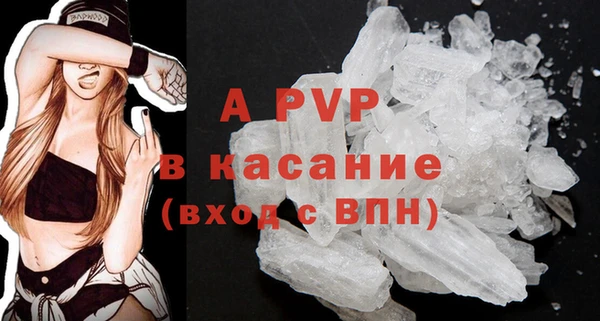прущие грибы Новозыбков