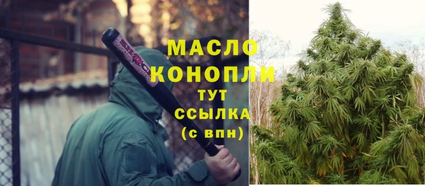 прущие грибы Новозыбков