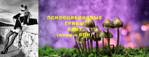 хмурый Новодвинск