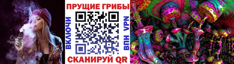Псилоцибиновые грибы ЛСД  Северская 