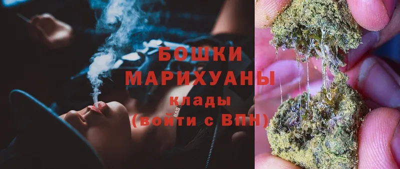 где можно купить   Северская  МЕГА как войти  МАРИХУАНА SATIVA & INDICA 